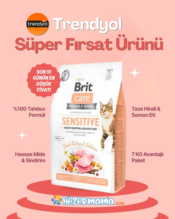 Hazar Mama kampanya tasarımı