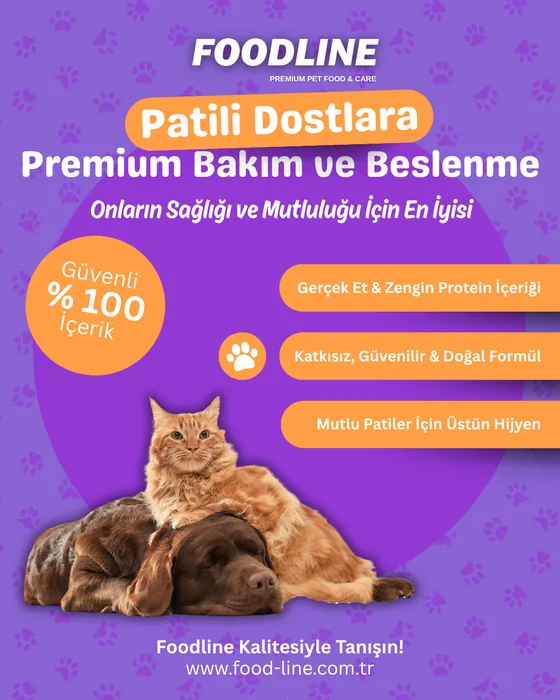 Food-line sosyal medya tasarımı
