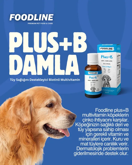 Food-line Plus+B Damla sosyal medya tasarımı